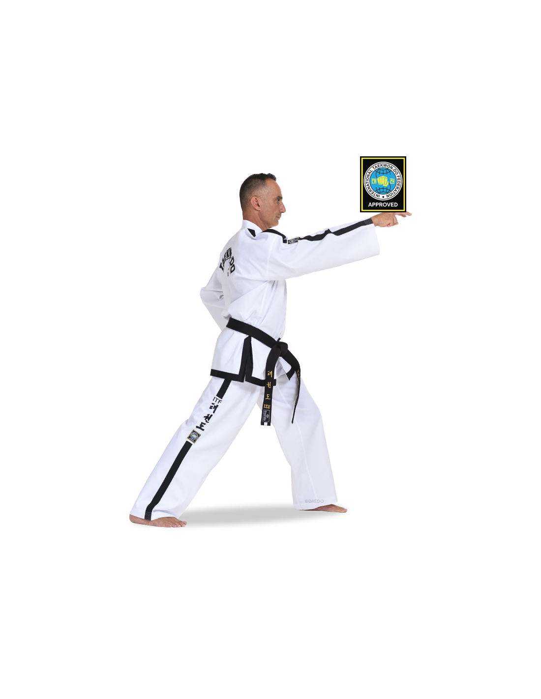 ITF APPROVED DOBOK INTERNATIONAL INSTRUCTOR & MASTER*++*ITF APPROVED DOBOK INTERNATIONAL INSTRUCTOR & MASTER